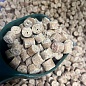 Пеллетс развесной GBS Tiger Nut Тигровый орех