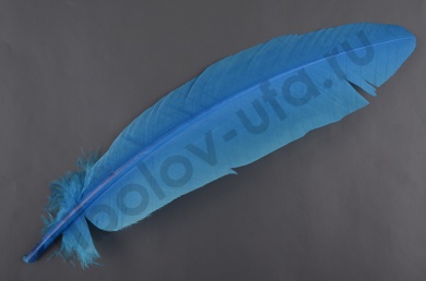 Перья парные маховые индюшиные VENIARD Turkey broad Wing Quill Dyed Blue VND  TBWQ-07