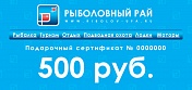 Подарочный сертификат на сумму 500 рублей