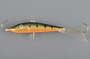 Fin