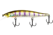 RV-Minnow