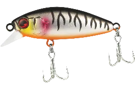 Abbey Minnow