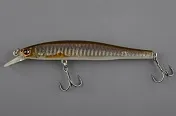 CT Minnow
