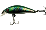 Chubby Minnow