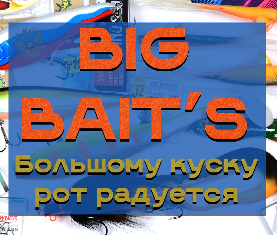 BIG BAIT’S Большому куску  рот радуется