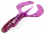 Curly Shrimp