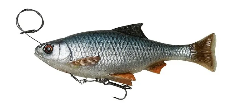 4D Pulse Tail Roach 