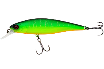Squad Minnow