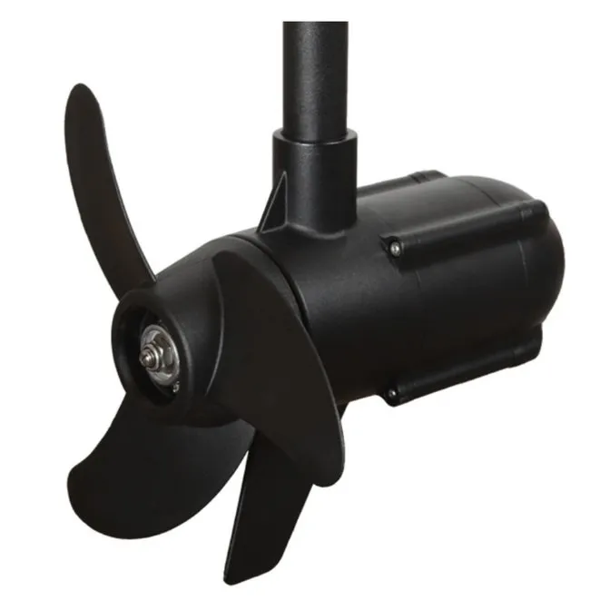 Электромотор Haswing Protruar 1.0, 65Lds-900 мм 