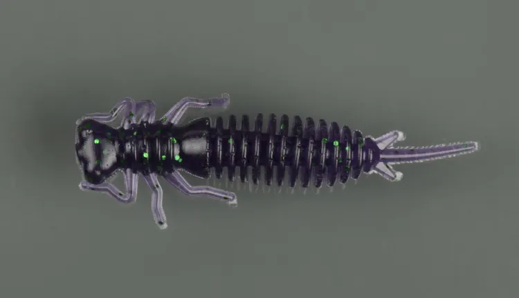 Larva 2.5