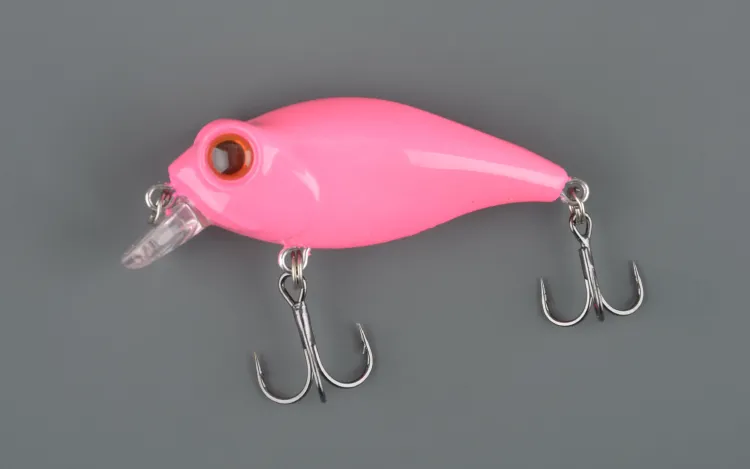 Bug Eye Bait
