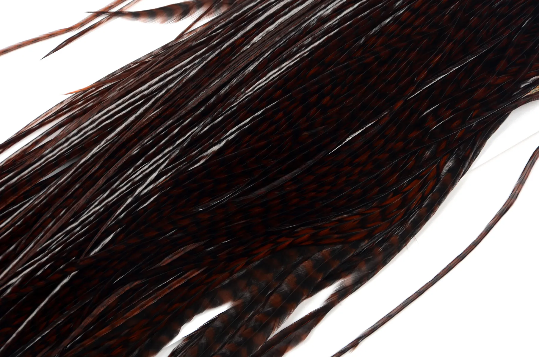 Половинка петушиного седло Whiting Bronze Midge 1/2 Saddle Grizzly dyed Coachman Brown