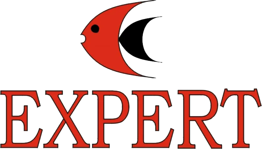 Expert