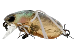 Chubby Bug