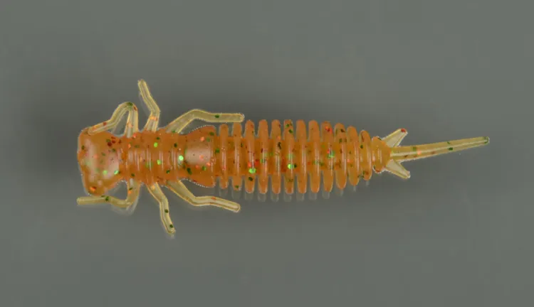 Larva 3