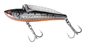 Hydra