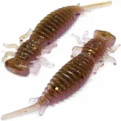 Larva