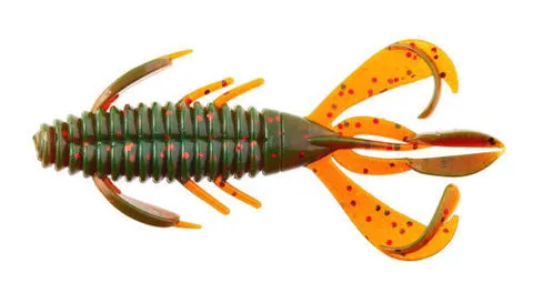 Bug
