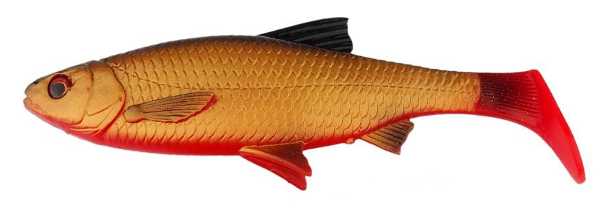 3D River Roach Paddletail