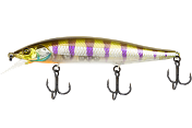RV-Minnow