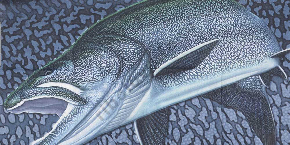 Бандана Fly Fishing Anti UV SPF45 3D-Salmon