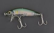 R1214 - 3D Inshore Surface Minnow