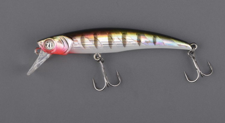 Shallow First 70F-SR