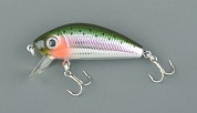 F198 - L-Minnow 33