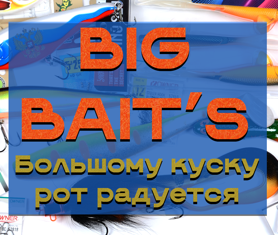 BIG BAIT’S Большому куску  рот радуется