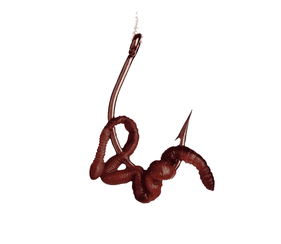 Живая наживка, Живец