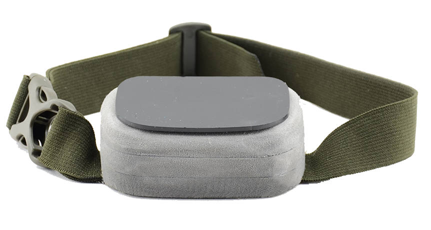 Мотыльницы