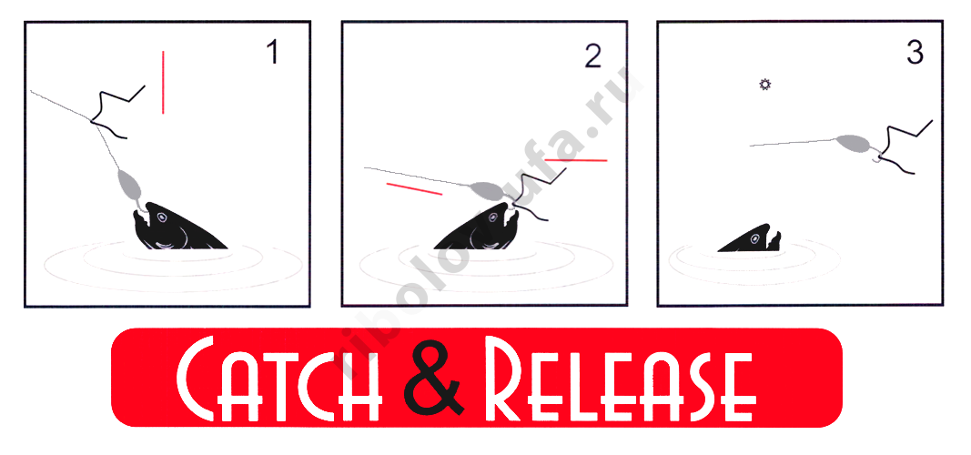 Релизер Metsui телескопич. 55см цв. красный