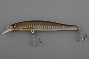 CT Minnow