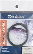 Подлесок Kola Salmon Polyleader Salmon Extra Strong 10'0 (3.0 m) 40lb Slow Silk LSB-PSS4-10XS