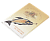 DVD, книги