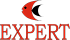Expert