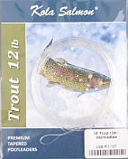 Подлесок полилидер Kola Salmon Polyleader Trout 10'0 (3,0 m) 12lb Intermediate