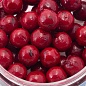 Бойлы Minenko Busters 14мм Plum (насадочные) вареные в дипе